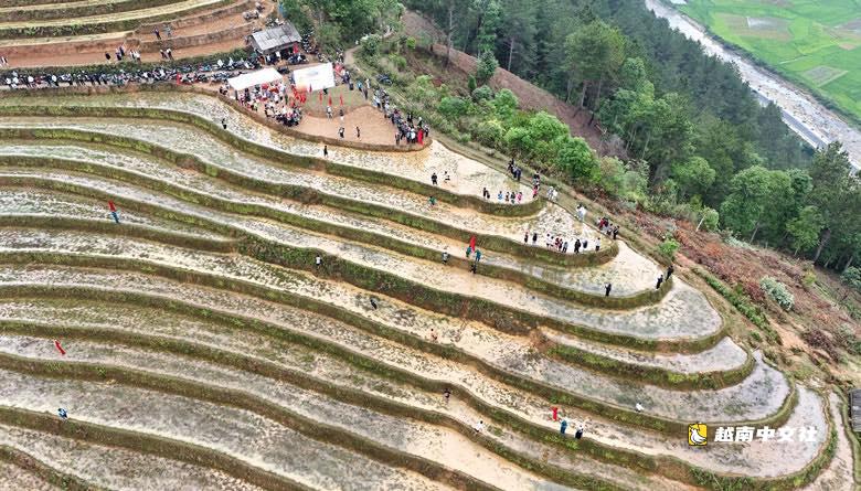 越南最具特色的跑步比賽:爭先攀爬木倉寨梯田