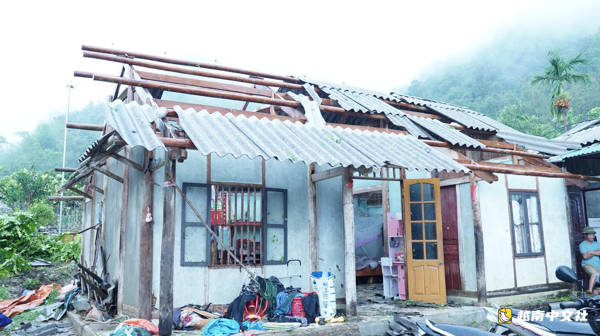 越南北部罕見的冰雹和雷暴:“鐵皮屋頂哐啷作響,樹木四散倒伏”