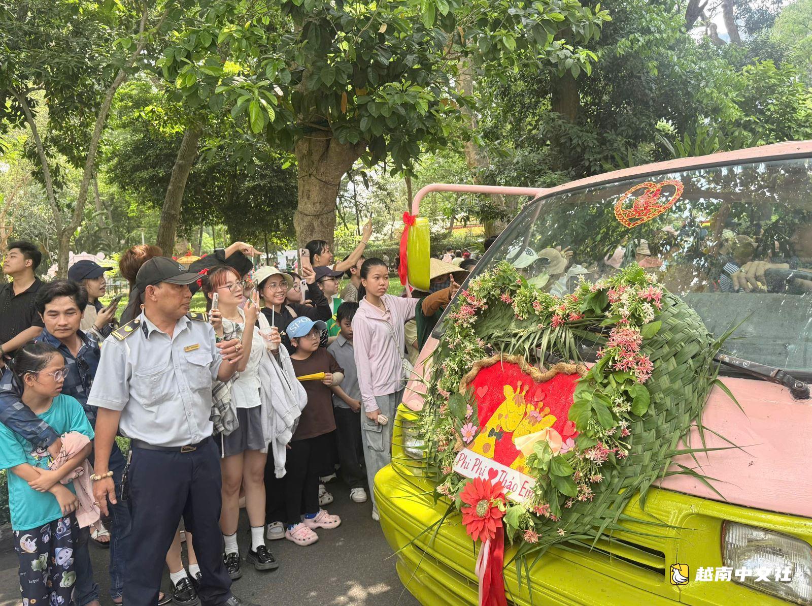 遊客湧向草禽園參加‘長頸鹿婚禮’