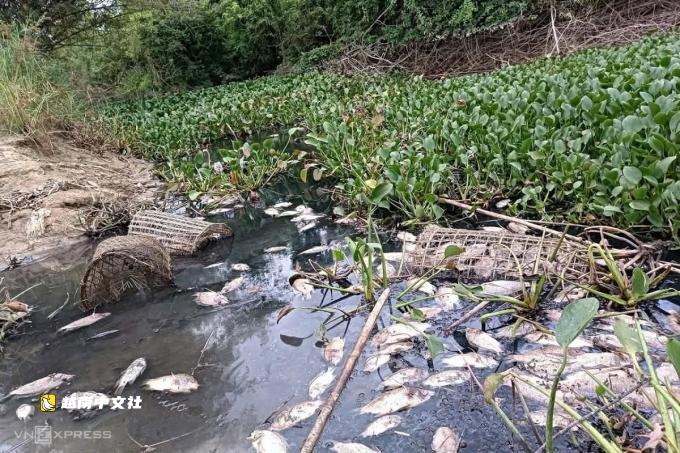 5公里長的灌溉渠因工業廢水變成黑色