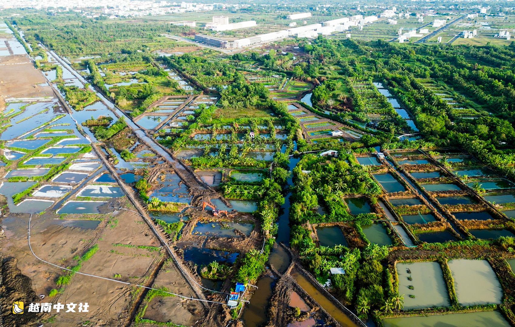 越南金甌省要求解決機場擴建項目導致鹽水入侵致魚死亡問題