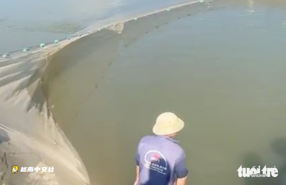 越南義安省藍江大量魚類死亡,鄉政府建議民眾不要撈食