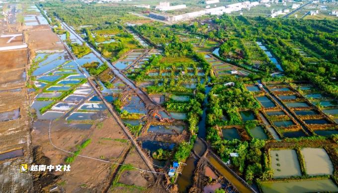 越南金甌省要求賠償因機場施工導致魚類死亡事件