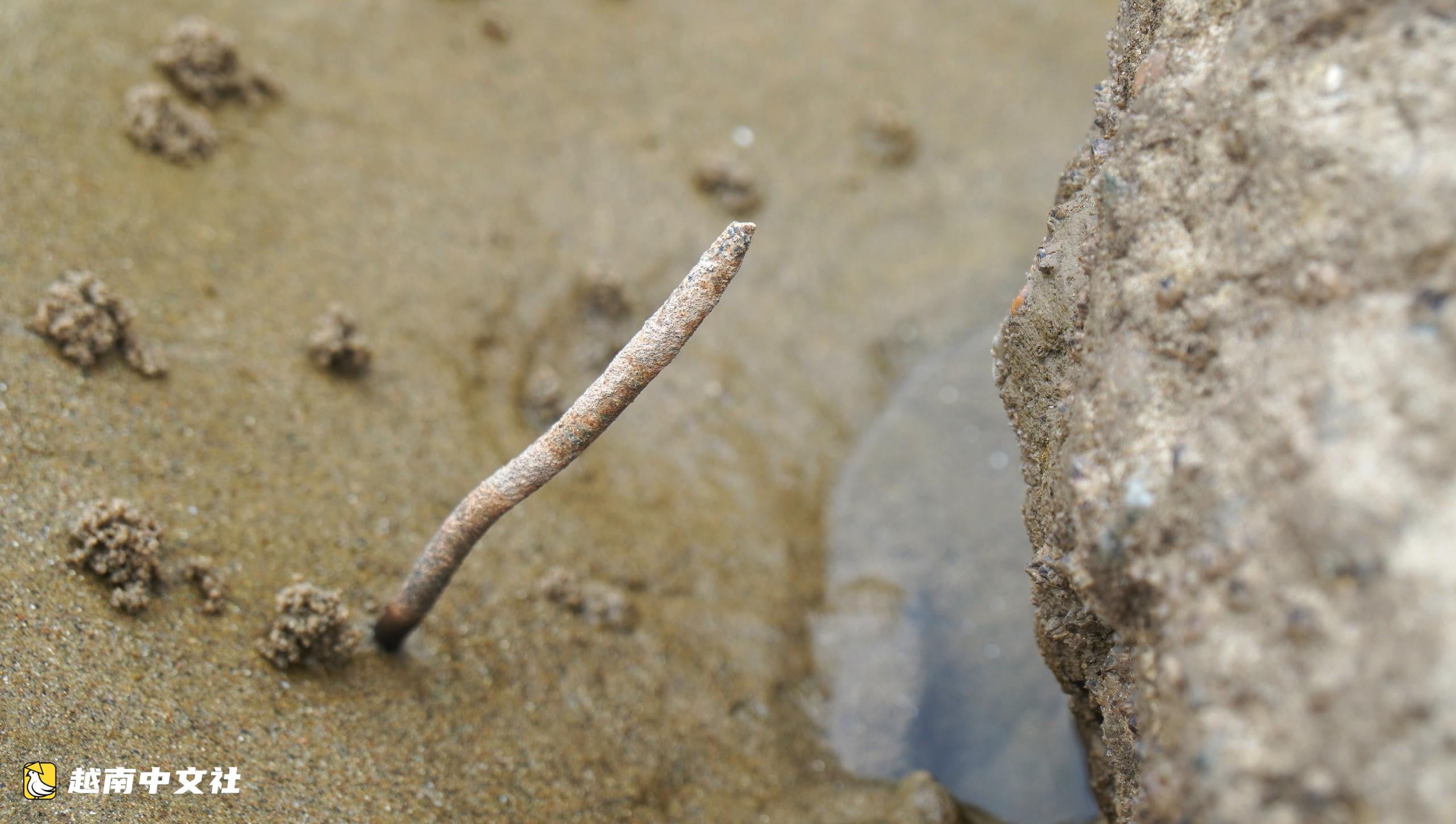 越南海進海灘驚現鋒利鐵樁,威脅遊客安全