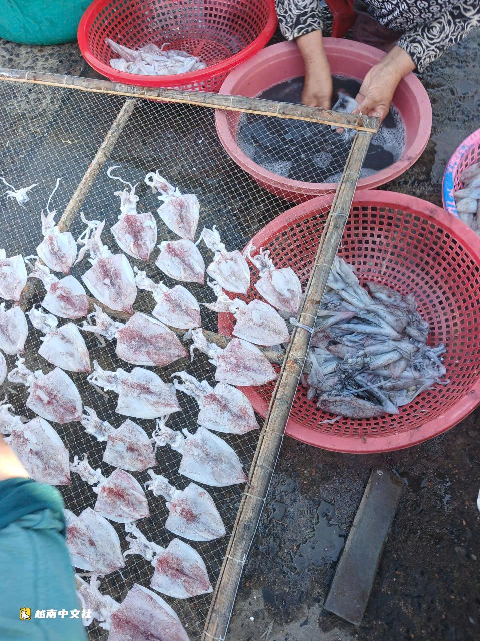 越南聯港漁港充滿活力的一天