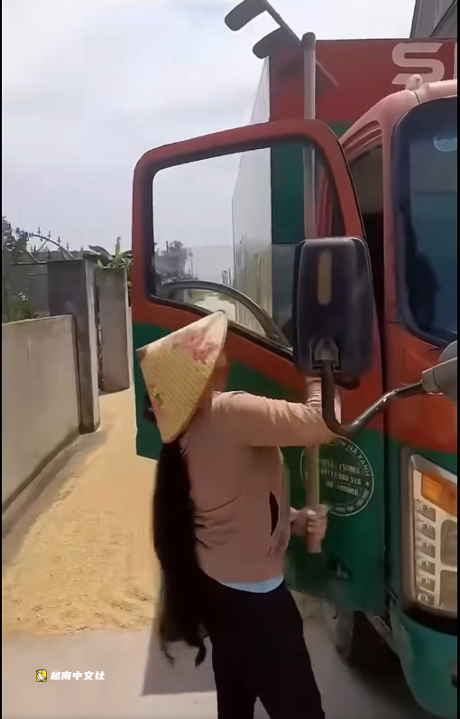 越南公安提醒民眾不要在車道和人行道上曬稻穀