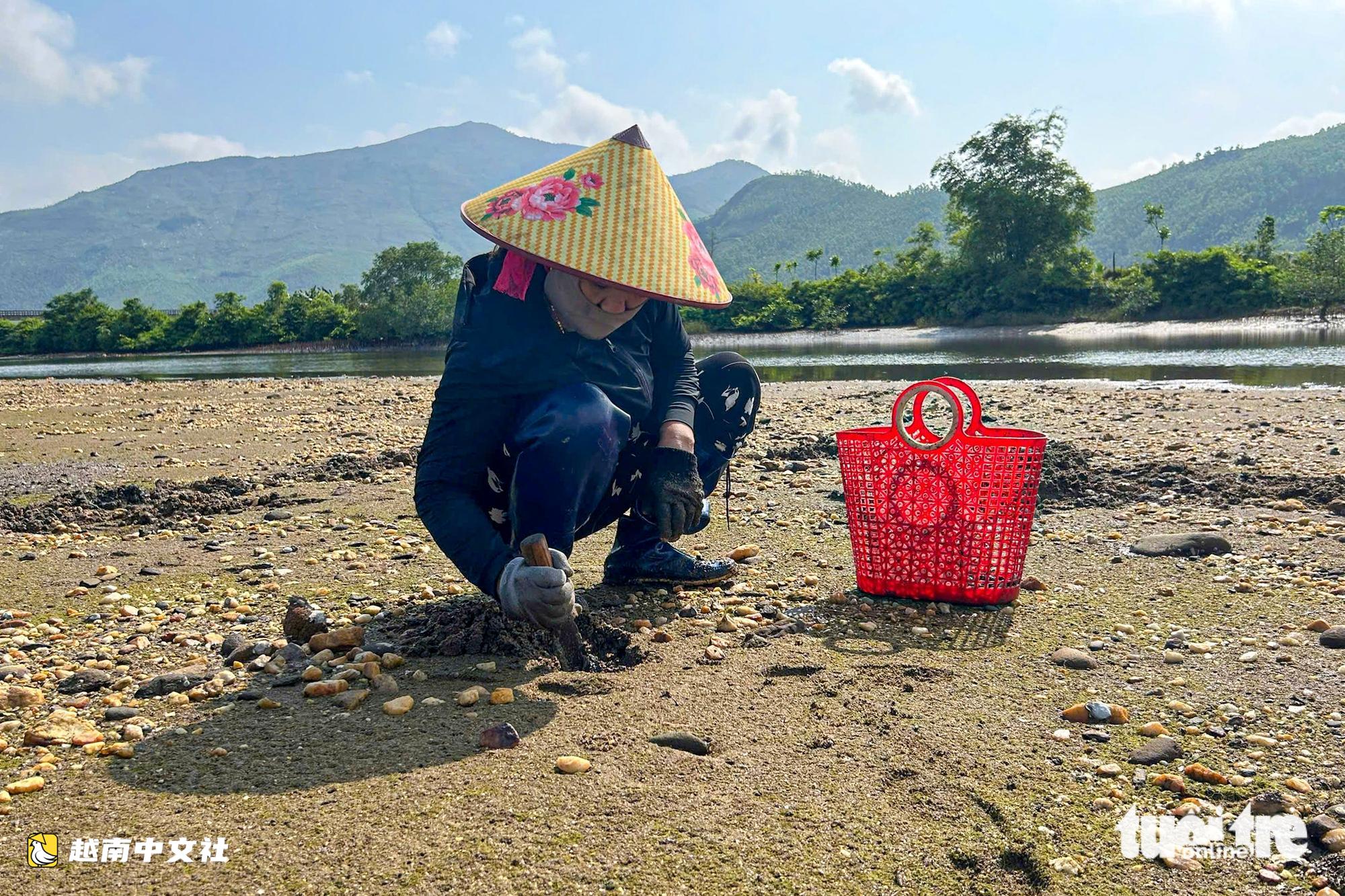 越南廣治省雲羅山腳下居民頂著烈日捕撈“進貢特產”