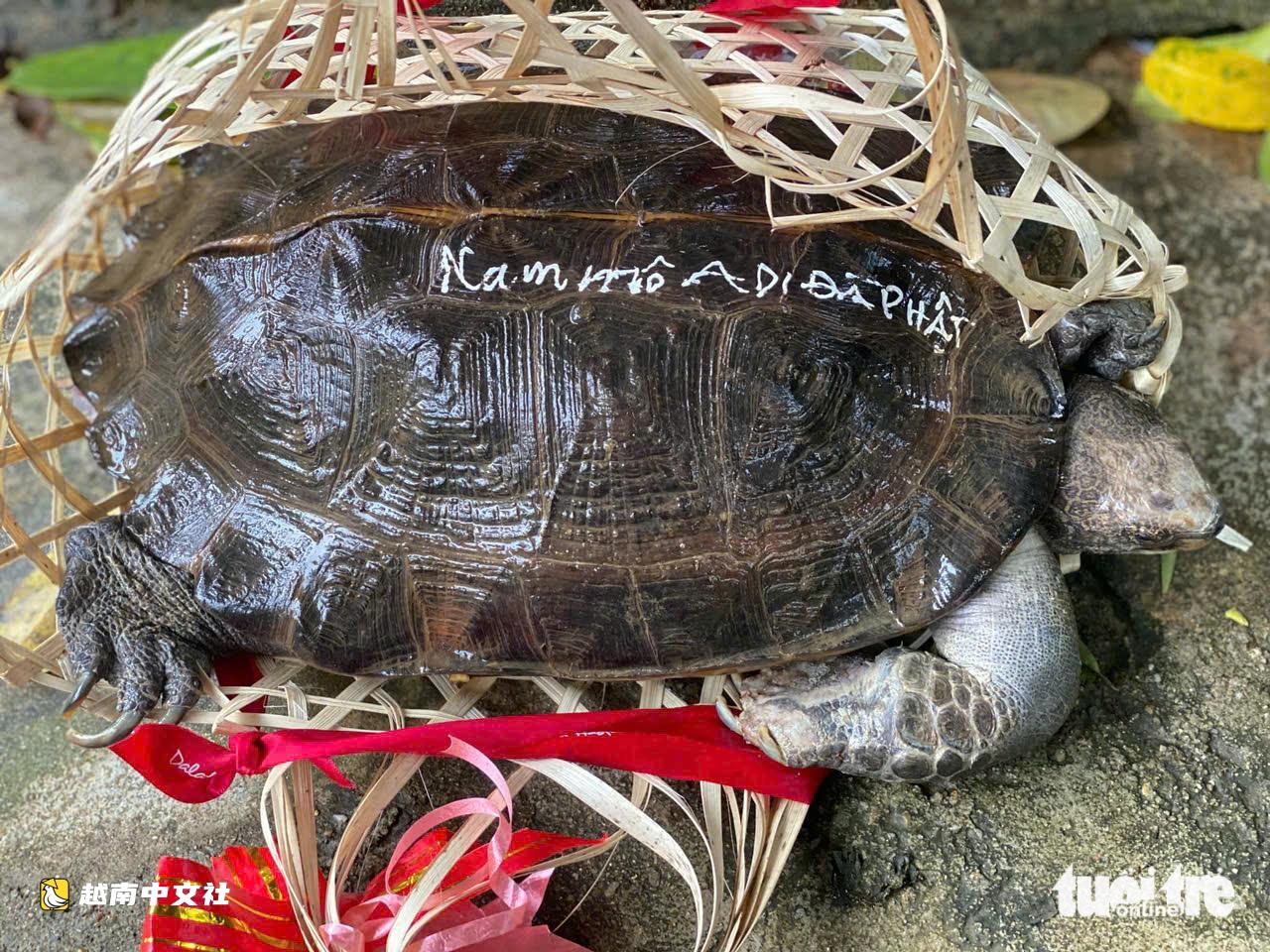 越南峴港警告:不當放生動物等於傷害動物