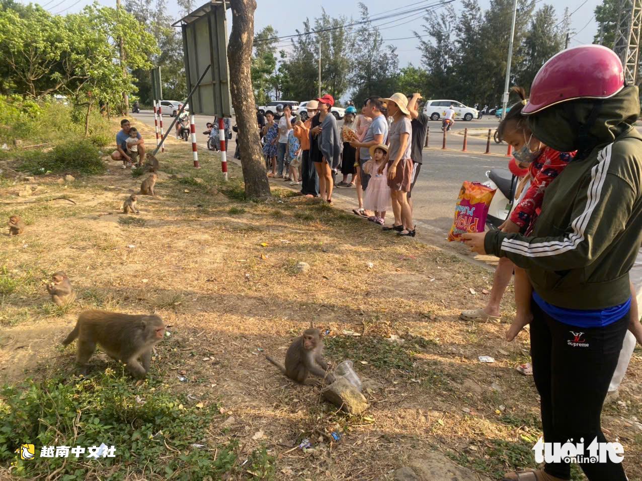 越南峴港警告:不當放生動物等於傷害動物