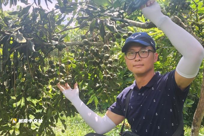 越南信息技術學士痴迷種植澳洲堅果
