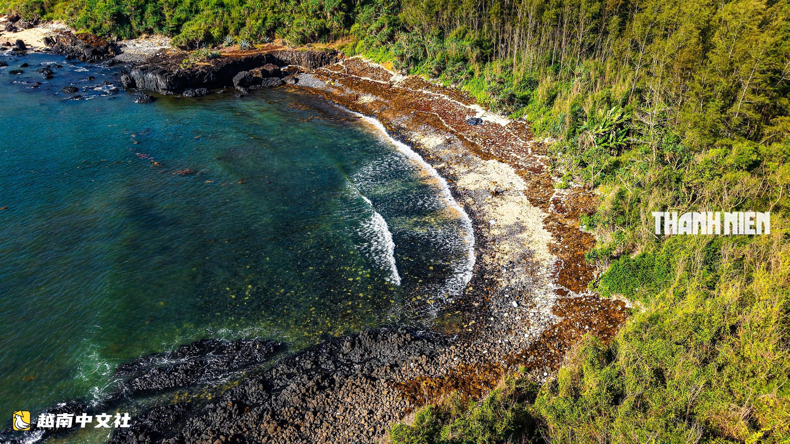 越南廣義省千萬年火山岩灘上的“海藻收穫季”