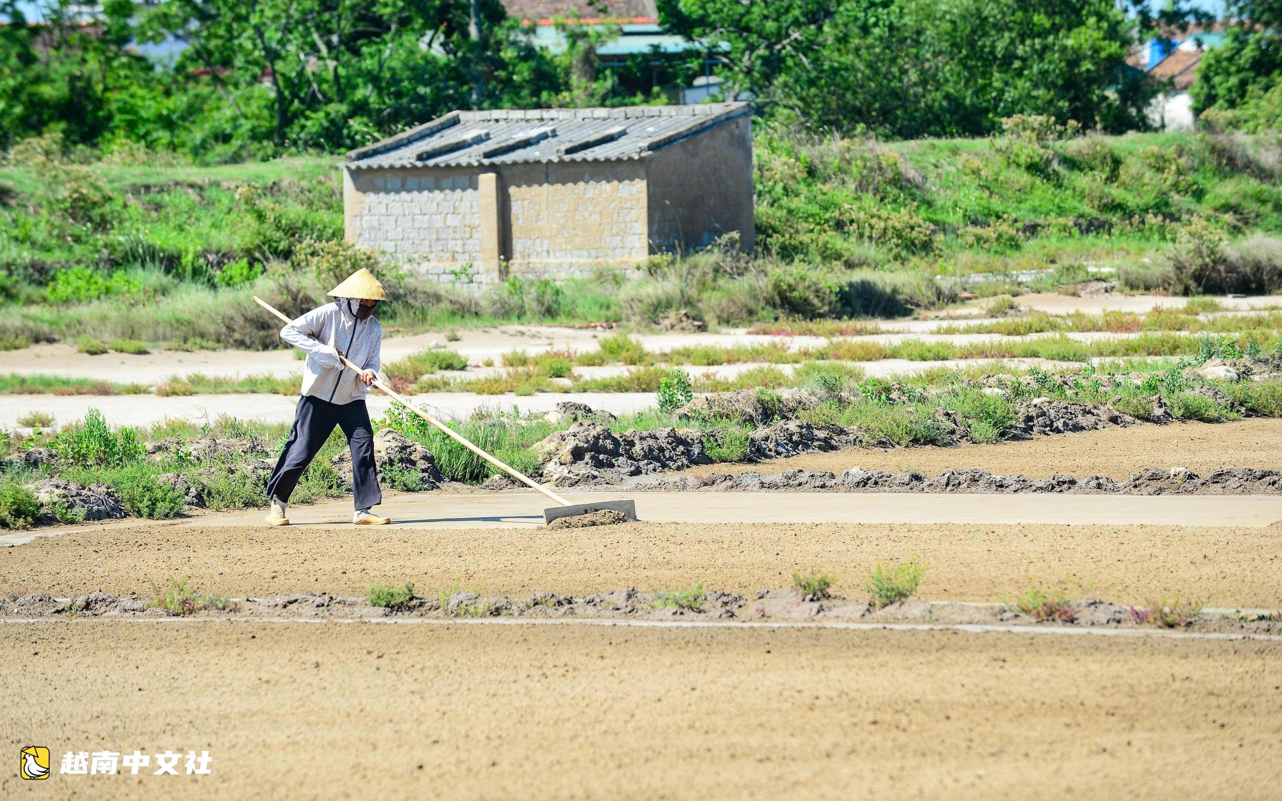 越南40度高溫下鹽田裡的汗水