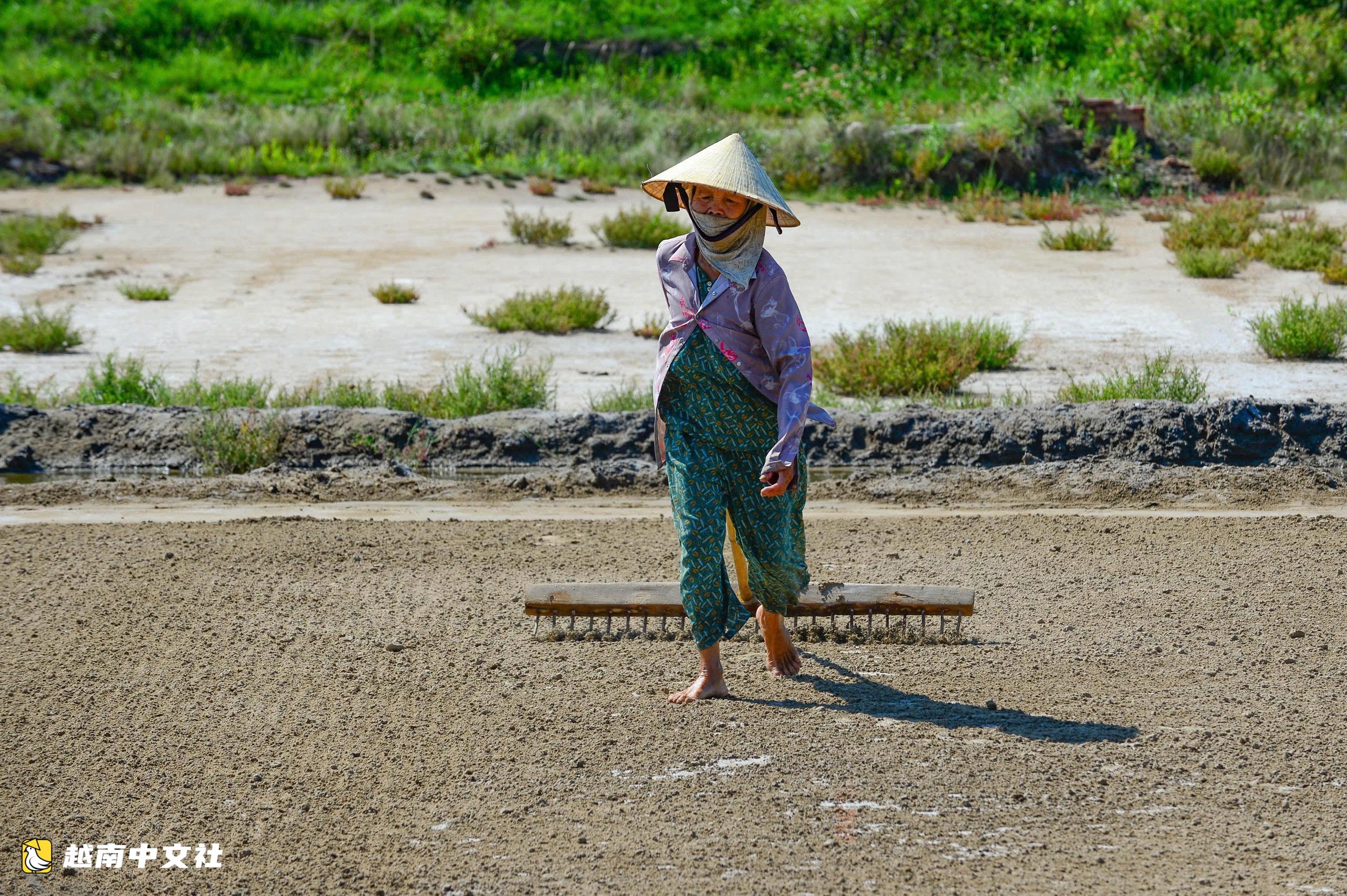 越南40度高溫下鹽田裡的汗水