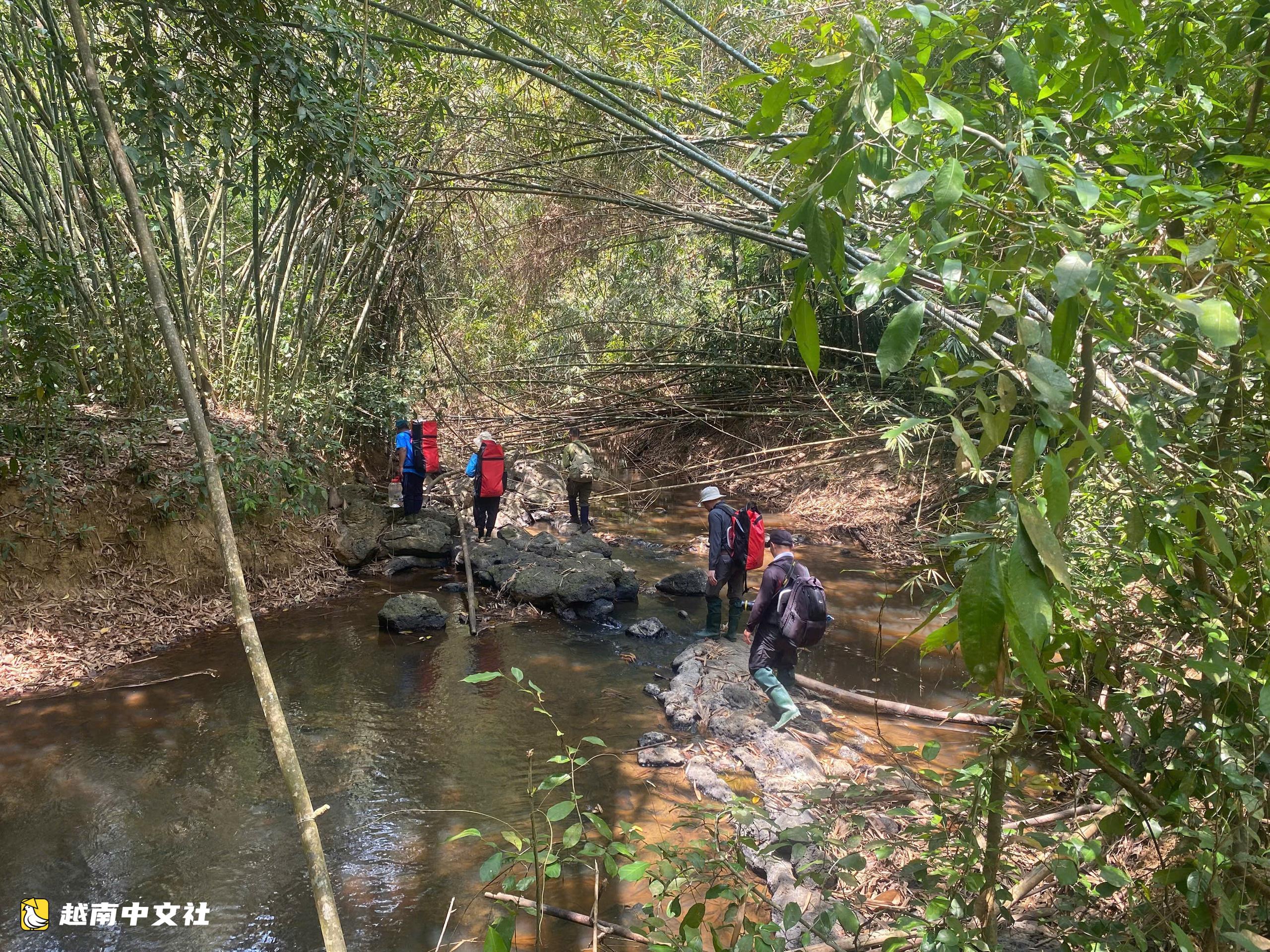 探索越南吉仙國家公園的獨特旅遊:遊客跟隨護林員巡邏,在深林中過夜