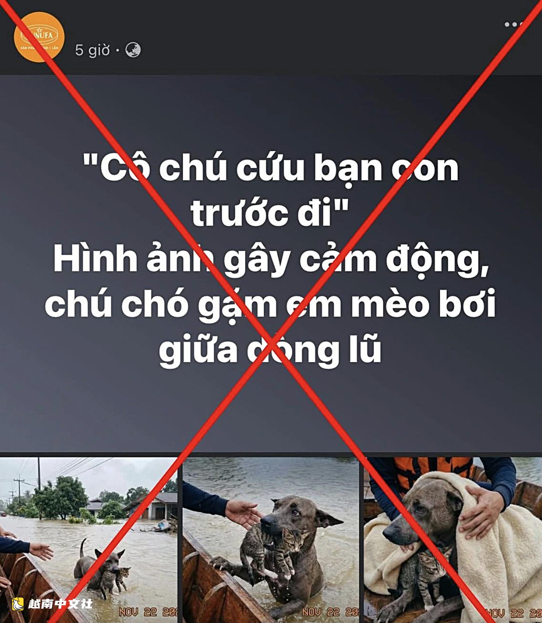 越南新聞界無法獨自對抗“垃圾內容”