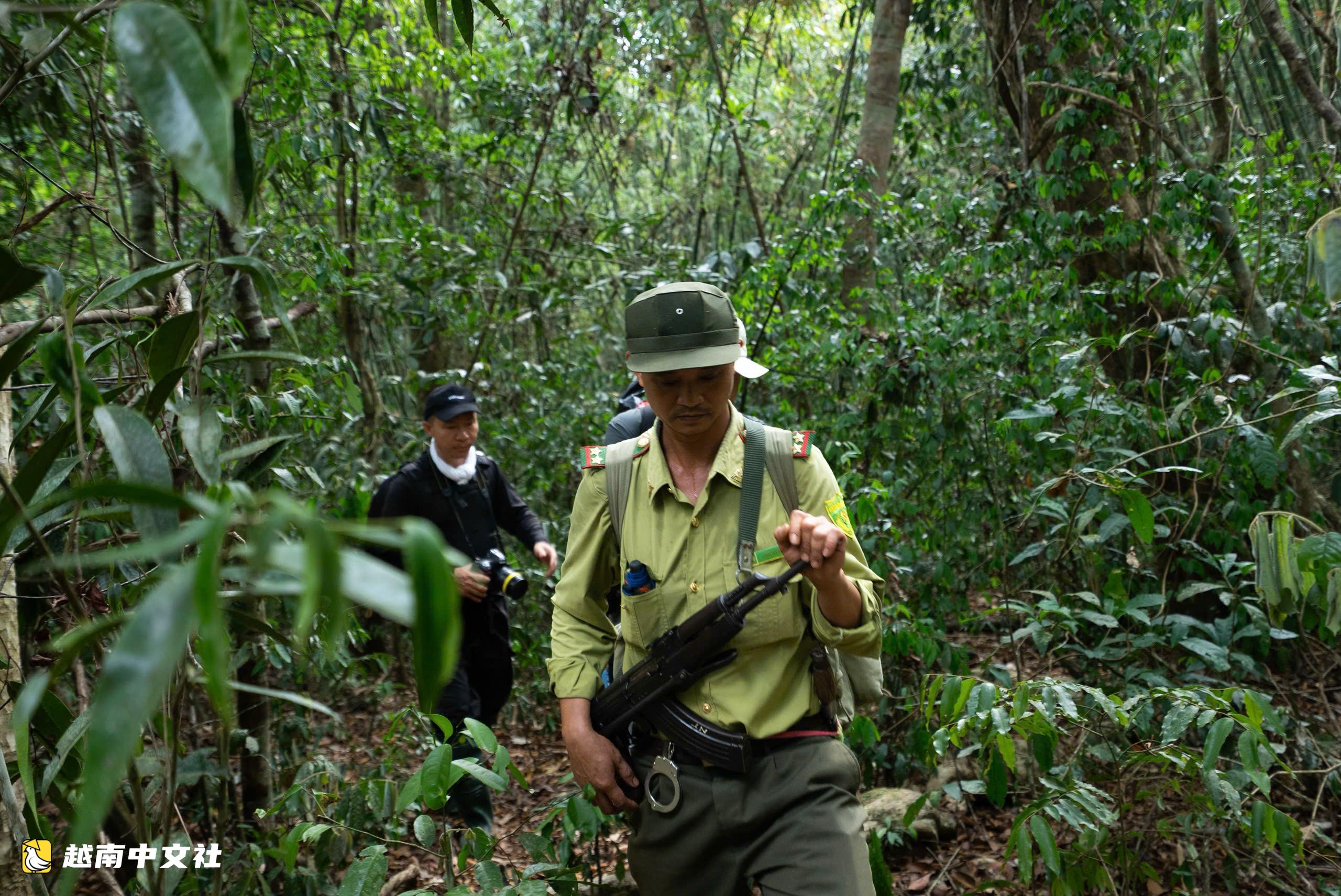 探索越南吉仙國家公園的獨特旅遊:遊客跟隨護林員巡邏,在深林中過夜