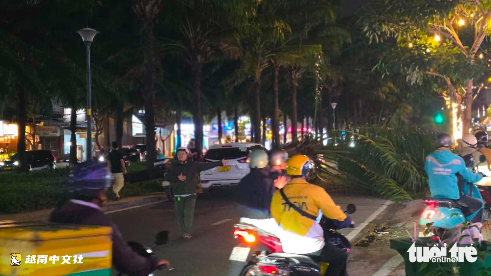 越南胡志明市雷雨中樹木連根拔起,繼續預警夜間降雨