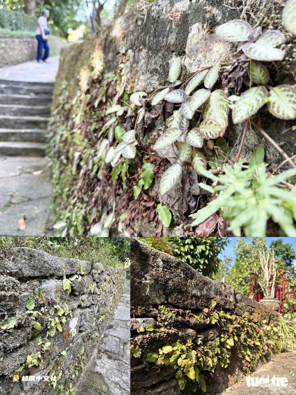 迷失在越南祿安古村,百年石砌門廊和石牆獨具特色