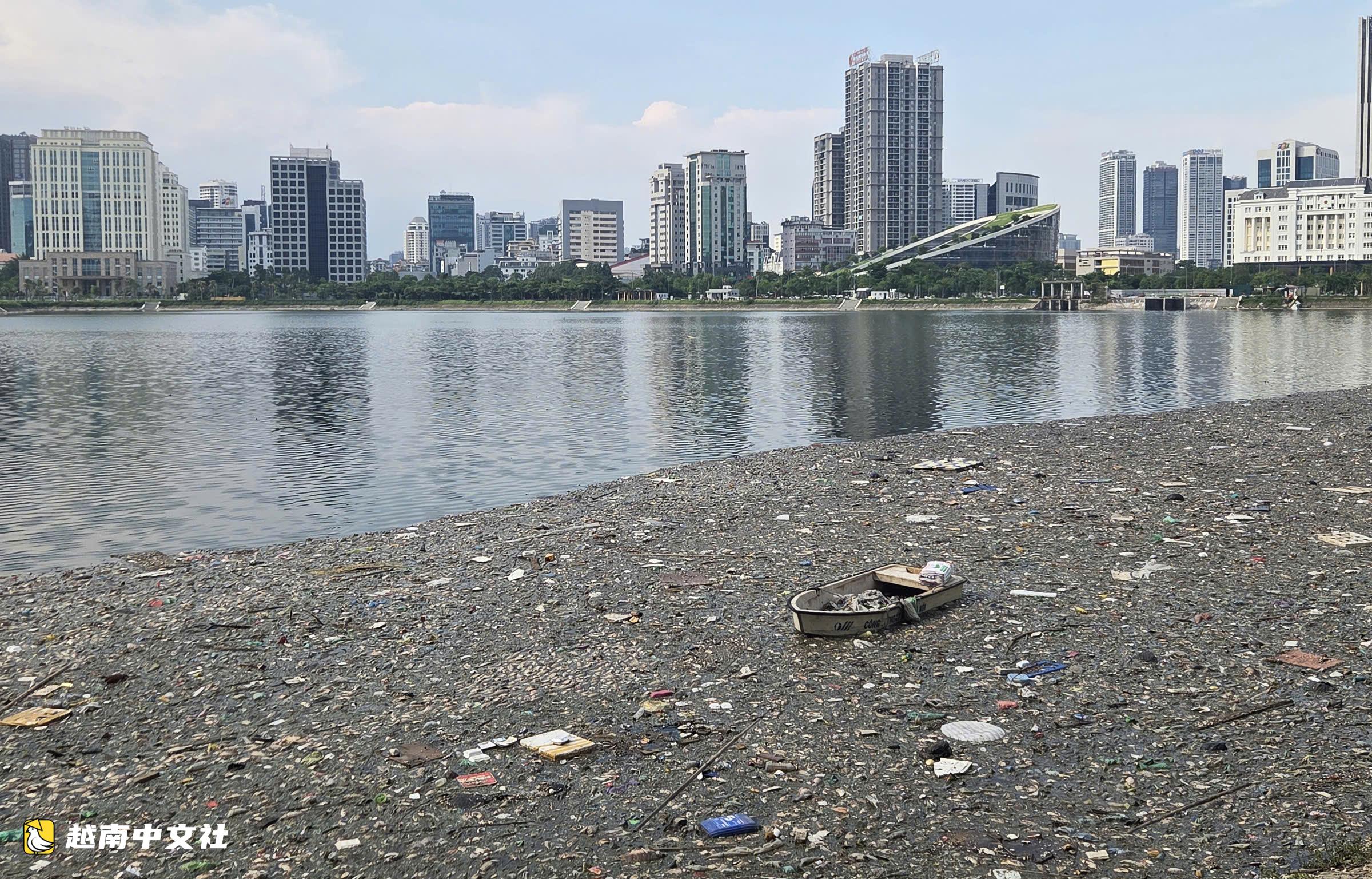 越南河內調節湖中大量死魚漂浮水面