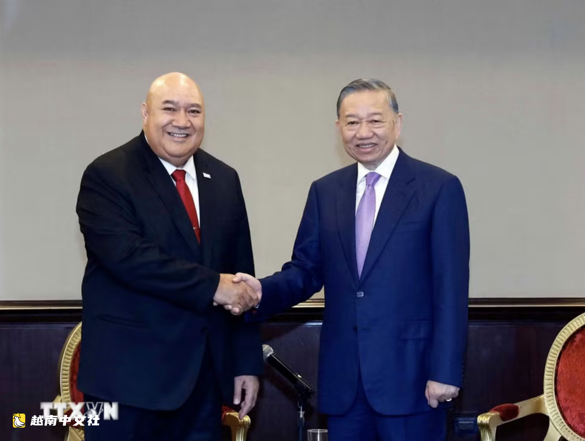 越共中央總書記、國家主席蘇林會見ADB、Grab、Aboitiz Foods和WHO領導人及代表