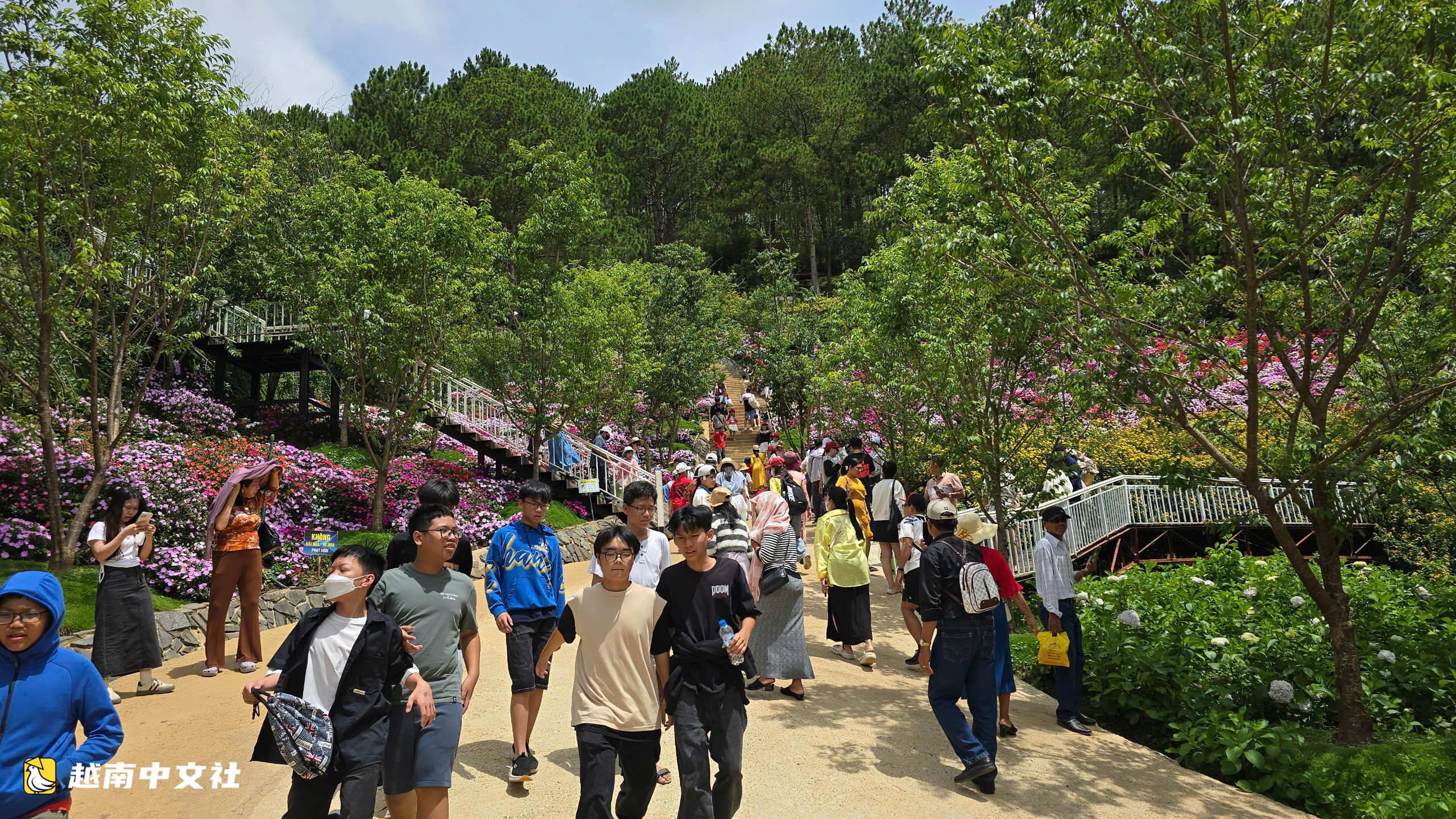 越南林同省莲姜机场暂停运营,大叻通过金兰机场连接游客