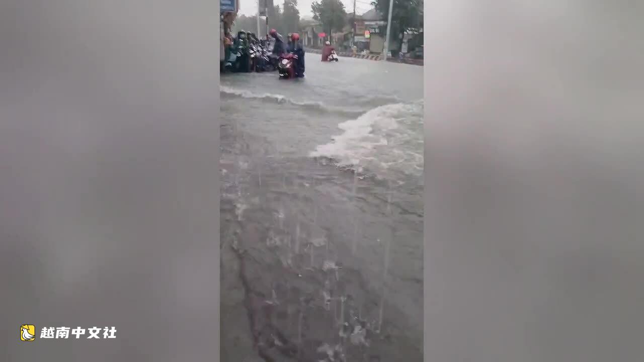 越南胡志明市中心大樹倒下壓中兩輛汽車