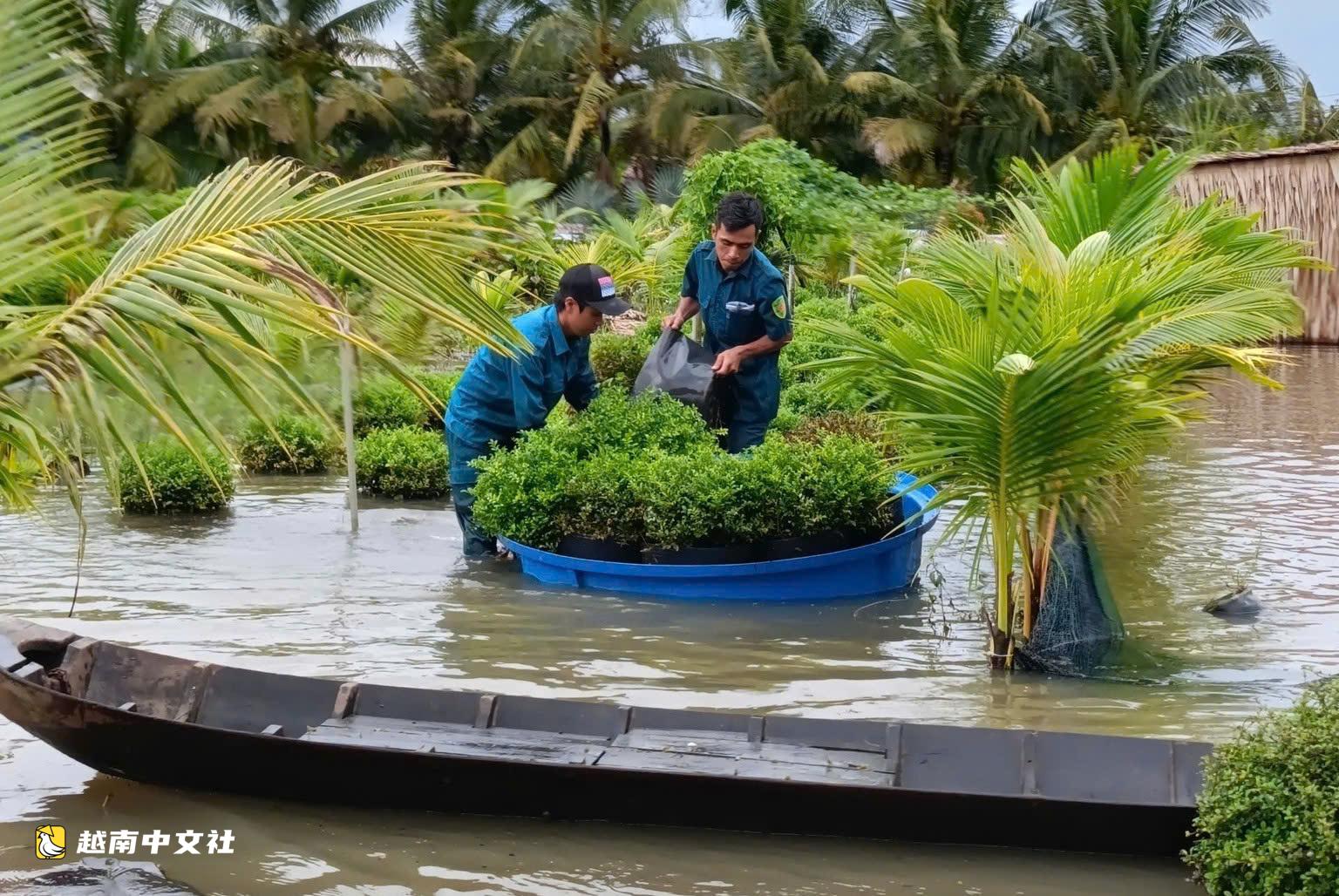 越南沙瀝市邀請專家尋找應對暴雨和潮汐導致的城市內澇解決方案