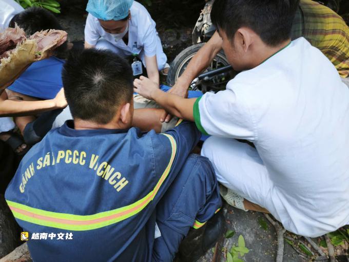 越南寧順古楝樹粗枝斷裂砸中騎摩托車男子