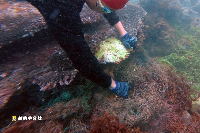 1500人清理2噸垃圾,越南山茶半島變乾淨