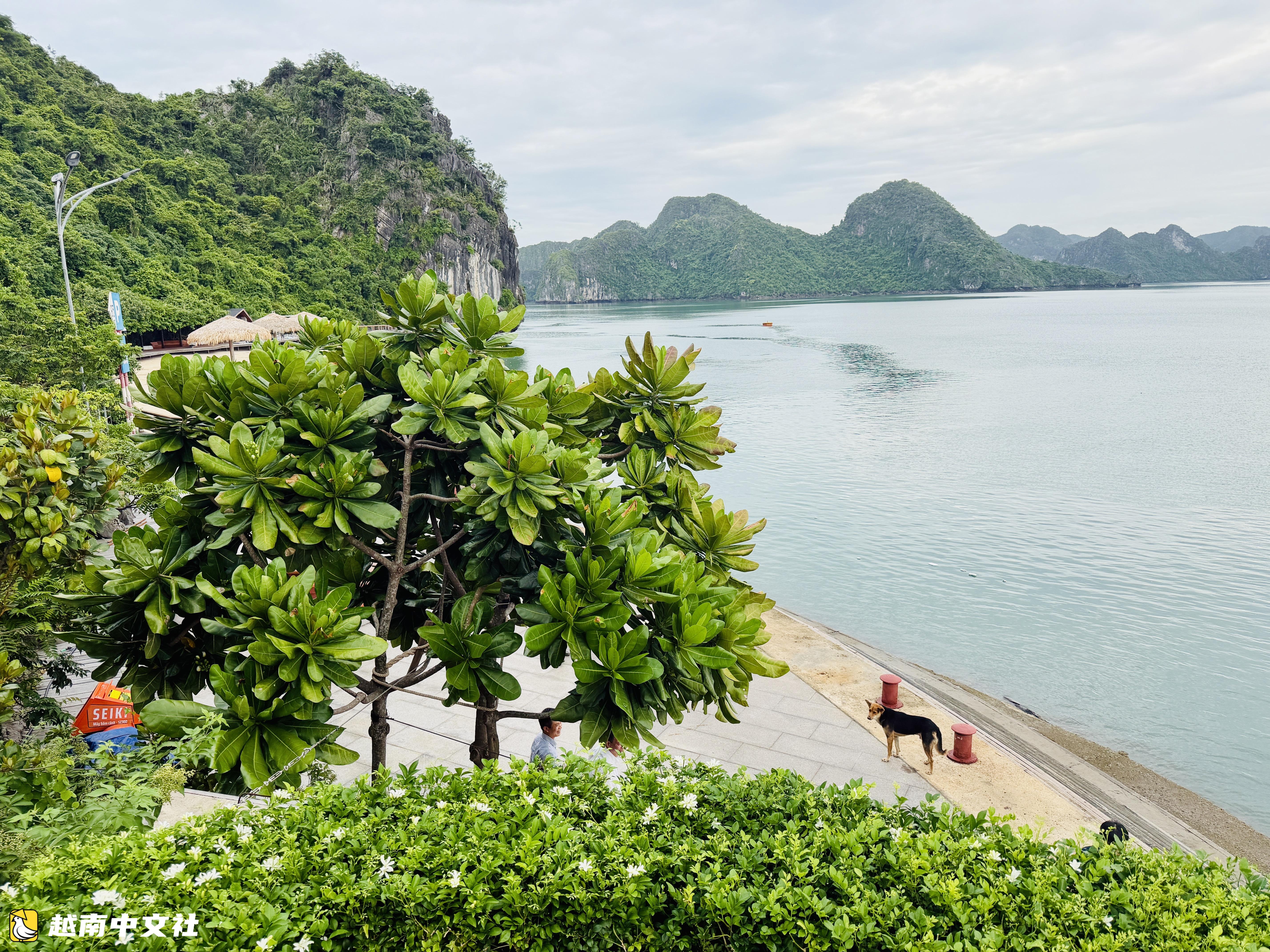 越南下龍灣躋身世界百強海灘之列的Soi Sim海灘將於6月底投入運營