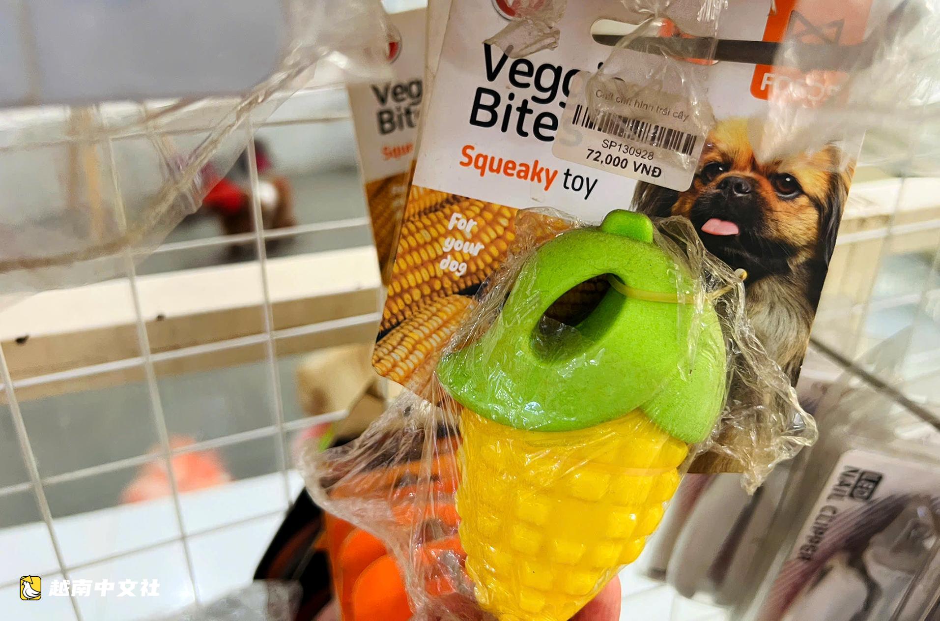 越南寵物飼養成本高:花費數億越盾養‘寶貝’