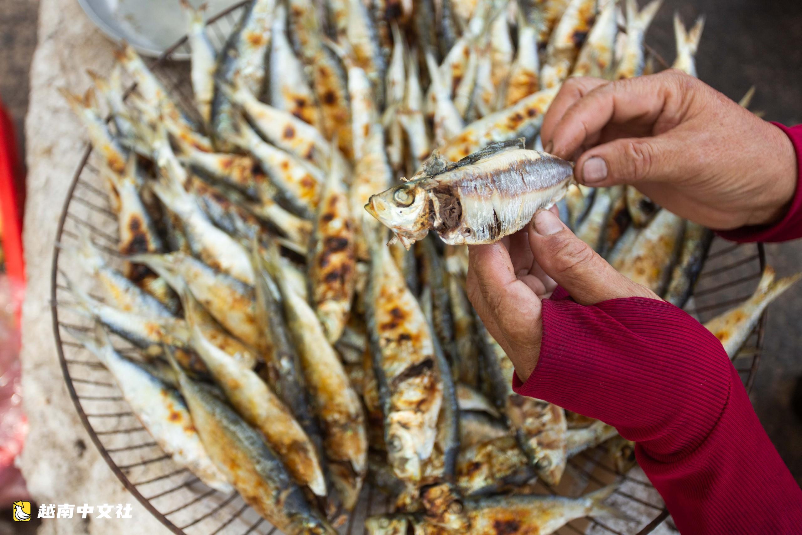 越南廣治海灘品嚐剛離火炭爐的烤鯡魚