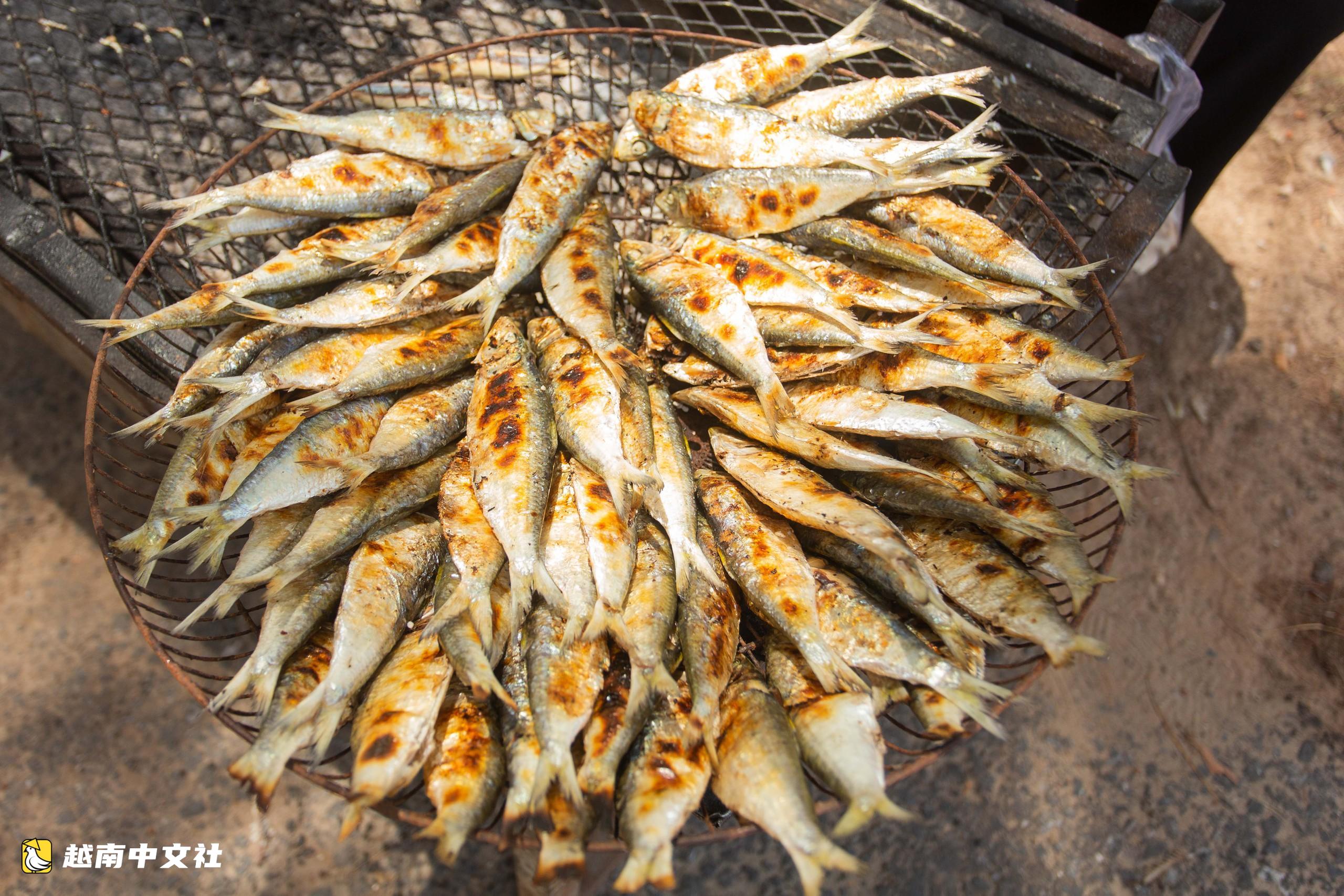 越南廣治海灘品嚐剛離火炭爐的烤鯡魚