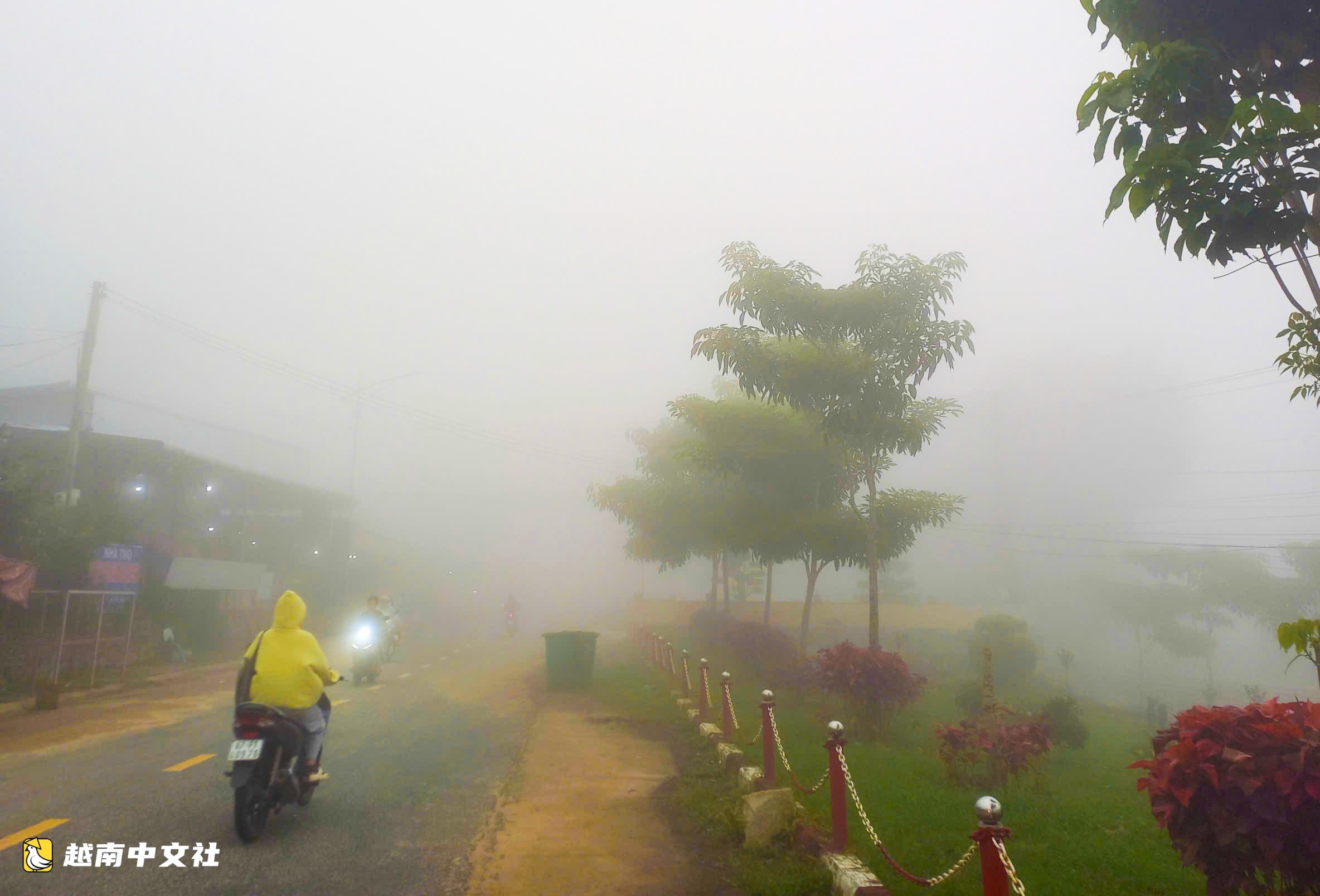 越南禁山山頂上的獨特“雲集市”