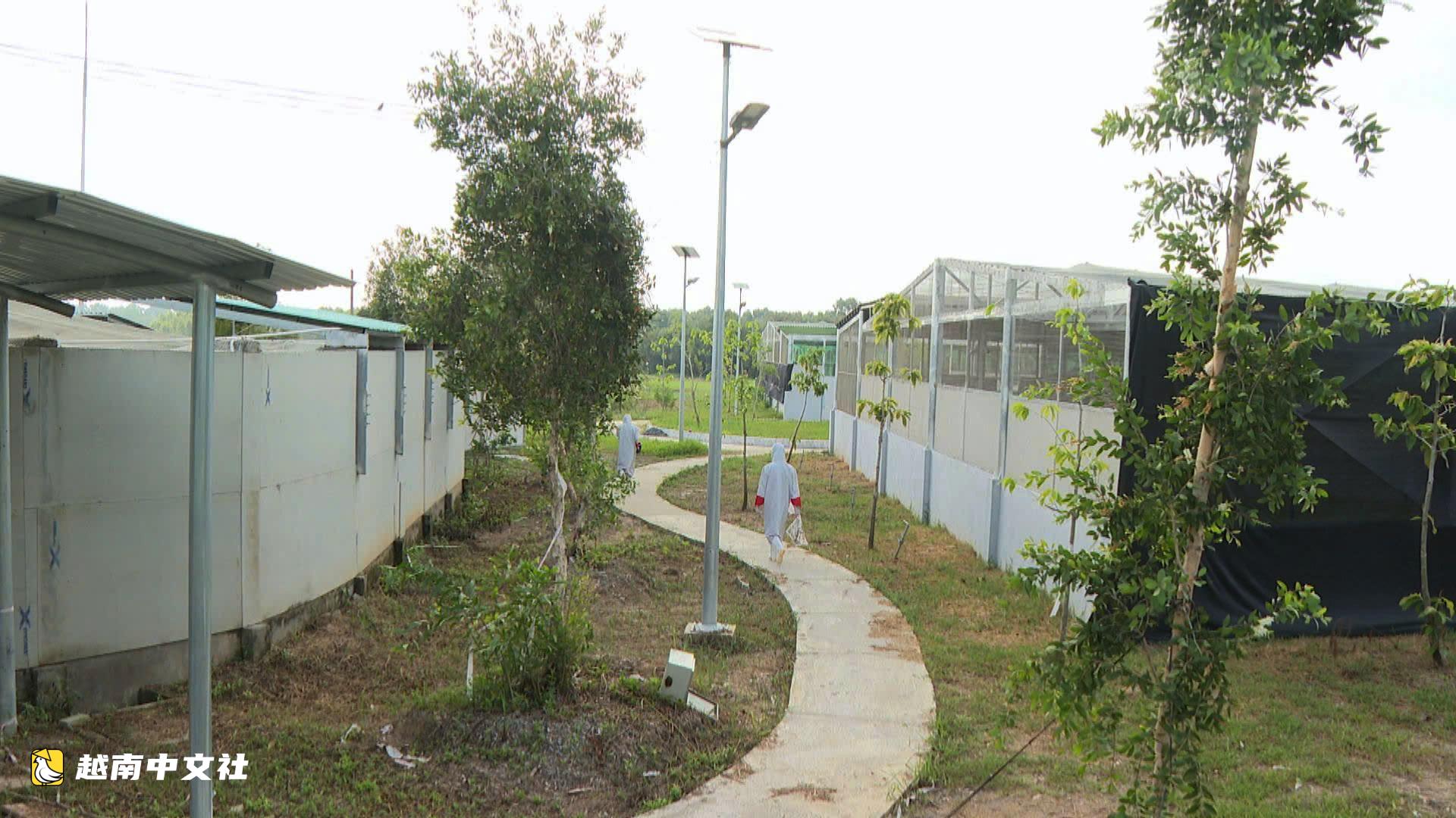 同塔省赴泰國迎接第二批紅頸鶴返回竹崗國家公園