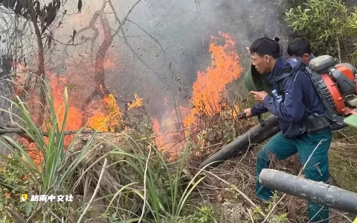 越南乂安省高溫天氣下控制住蔓延兩鄉的森林火災