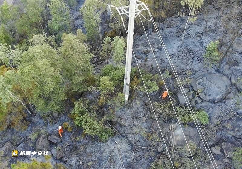 越南清化省森林火災導致3萬戶家庭停電