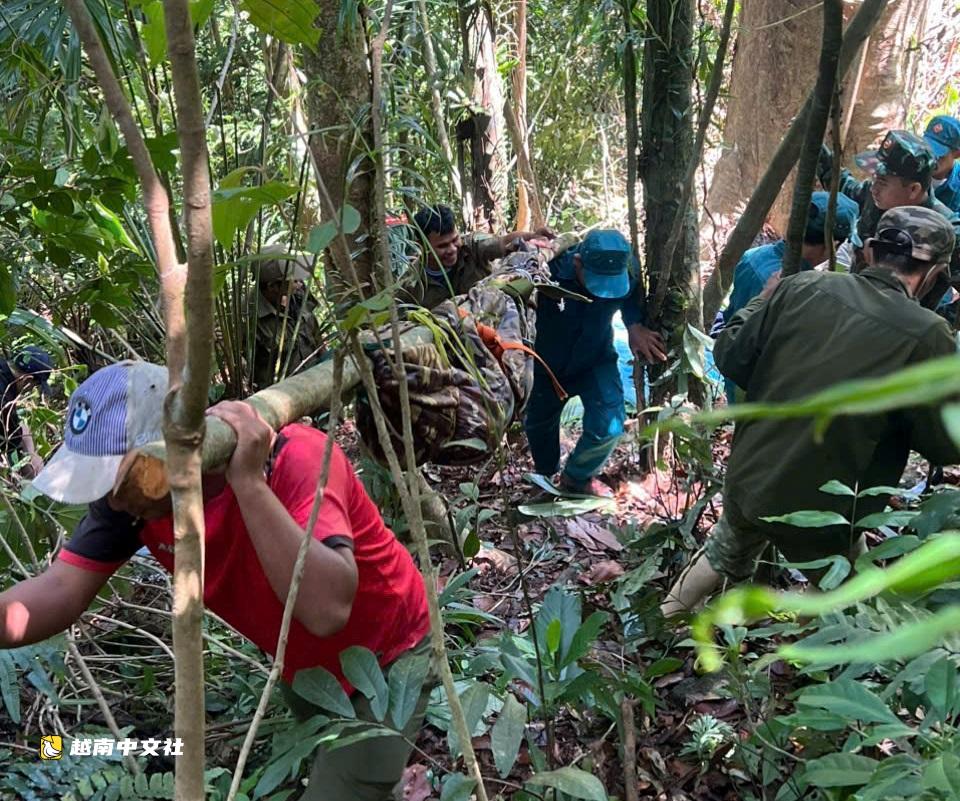 越南採蜜工森林遇難,公安與軍隊穿越叢林運出遺體