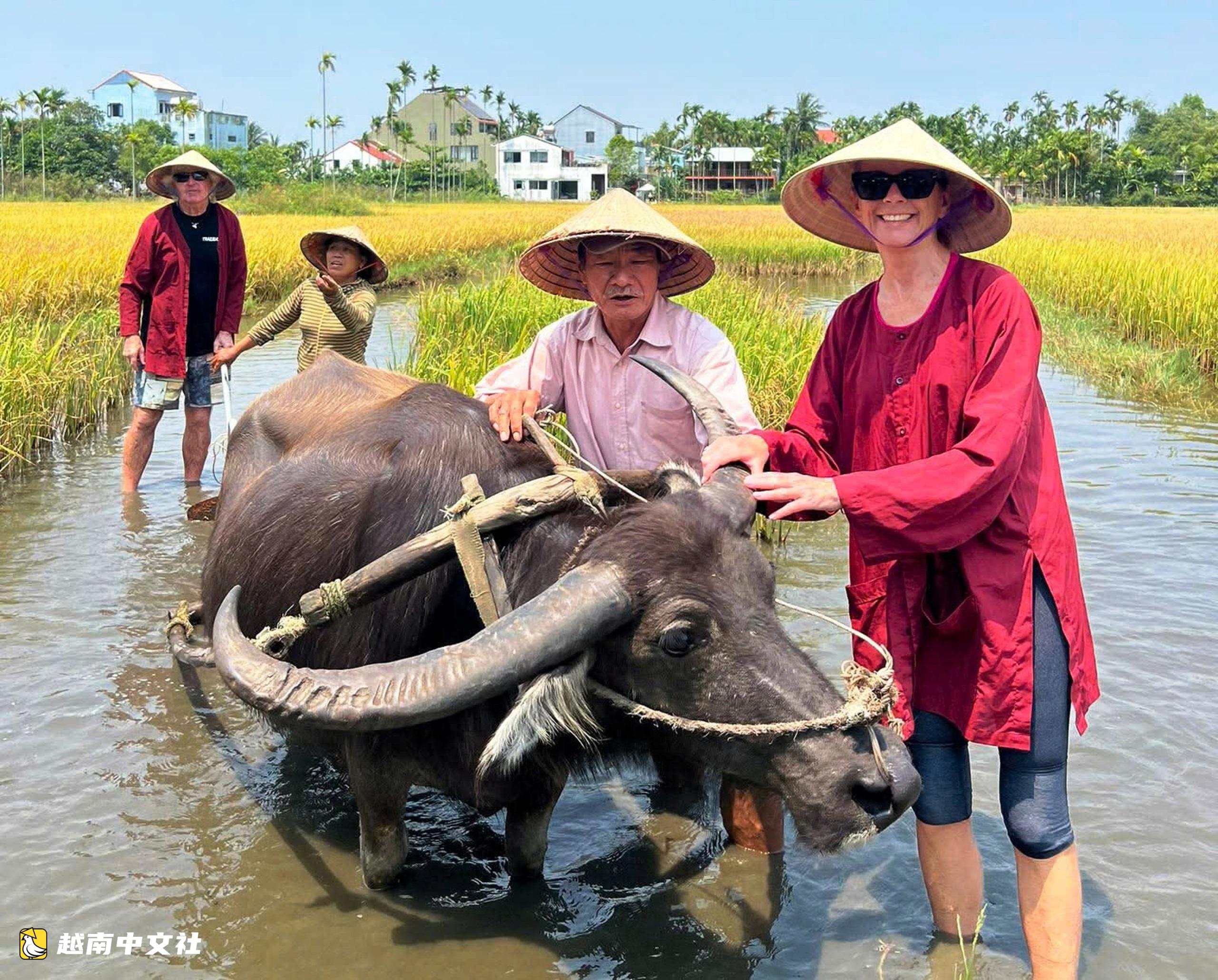 越南會安鄉村的“赤腳旅遊大使”