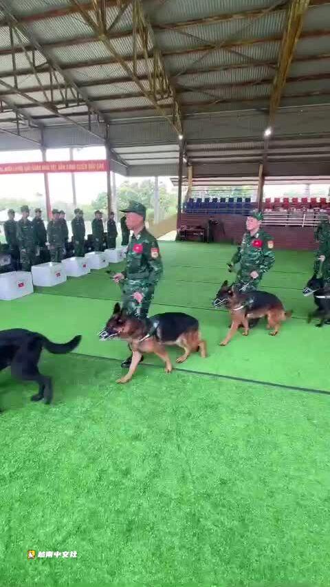 越南軍隊趕赴委內瑞拉地震災區救援