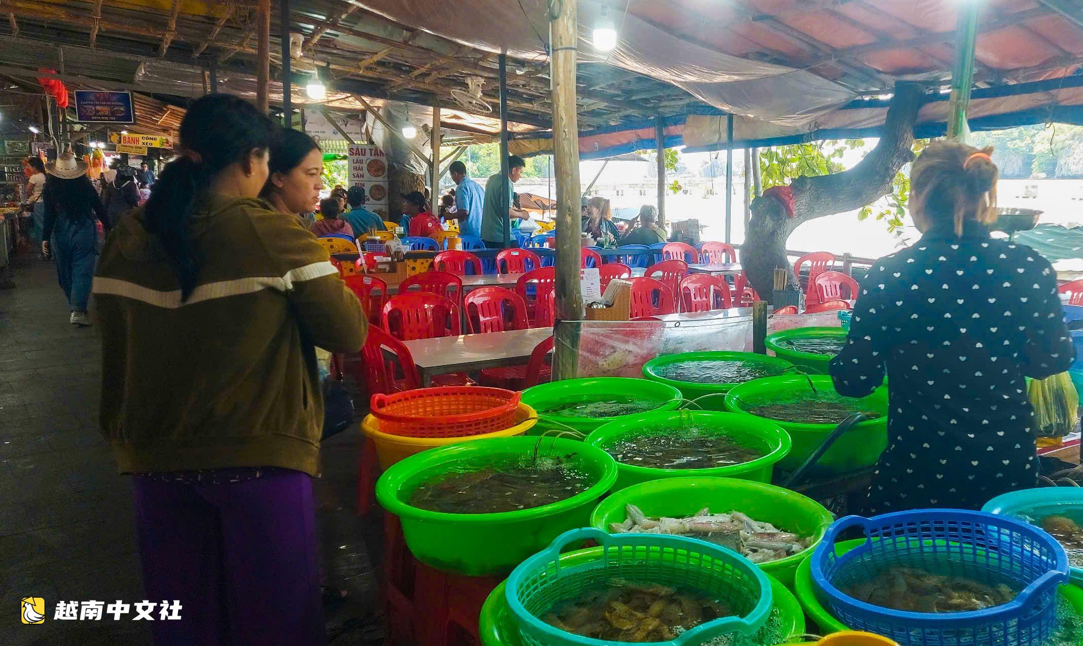 越南Hòn Phụ Tử在斷裂事故近20年後的現狀