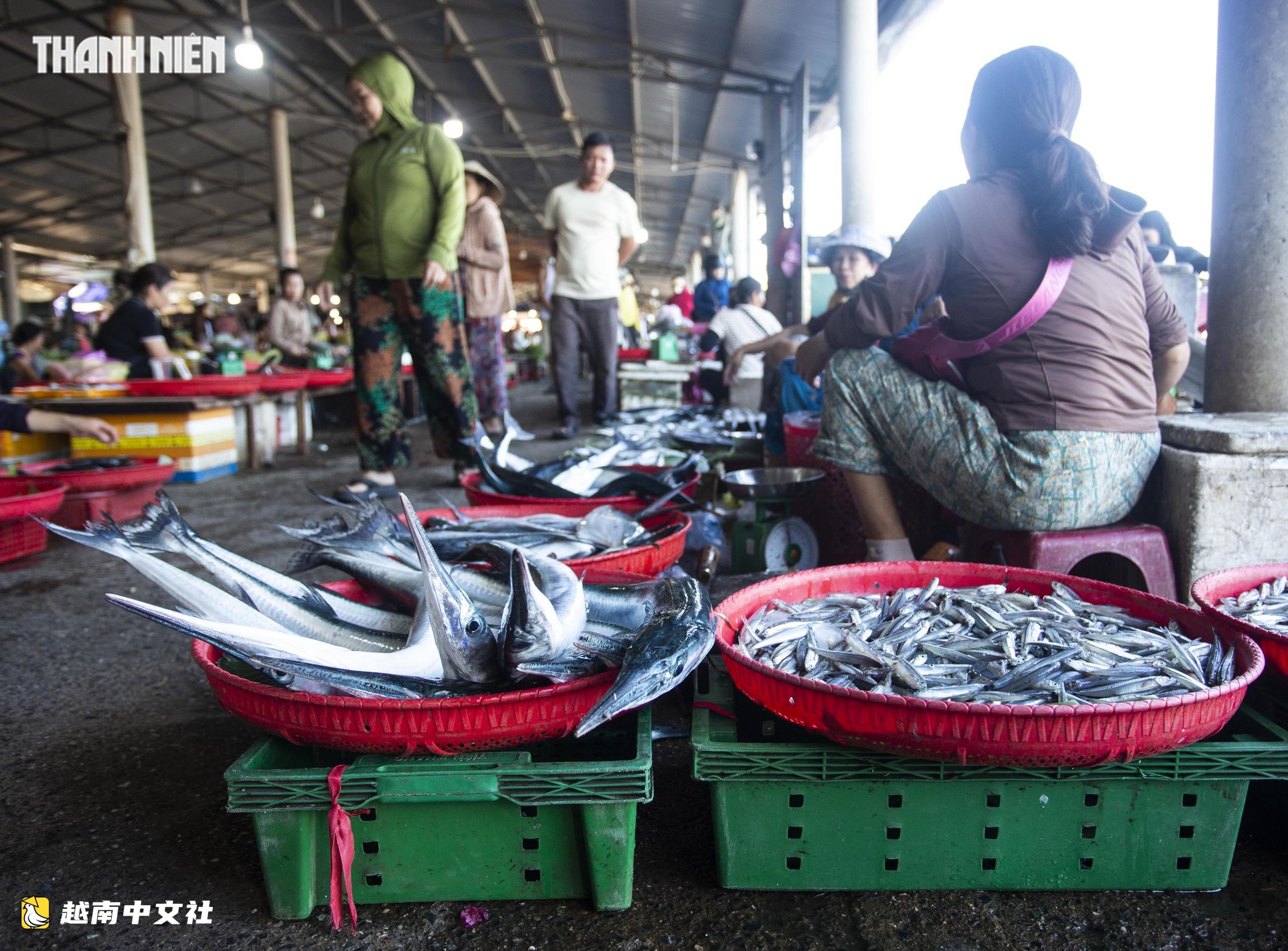 越南Cửa Tùng魚市吸引眾多遊客前來購買新鮮海鮮