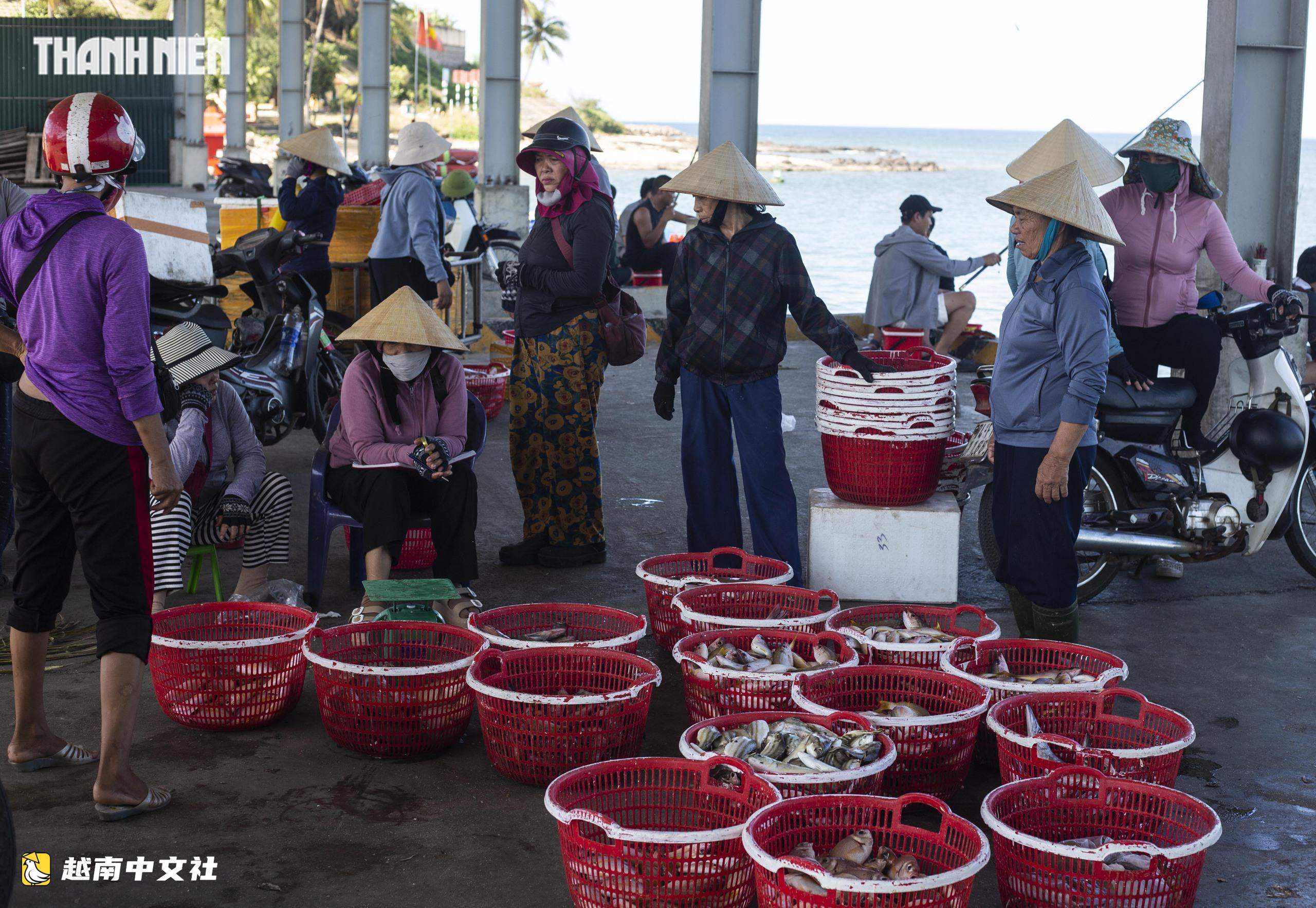 越南Cửa Tùng魚市吸引眾多遊客前來購買新鮮海鮮