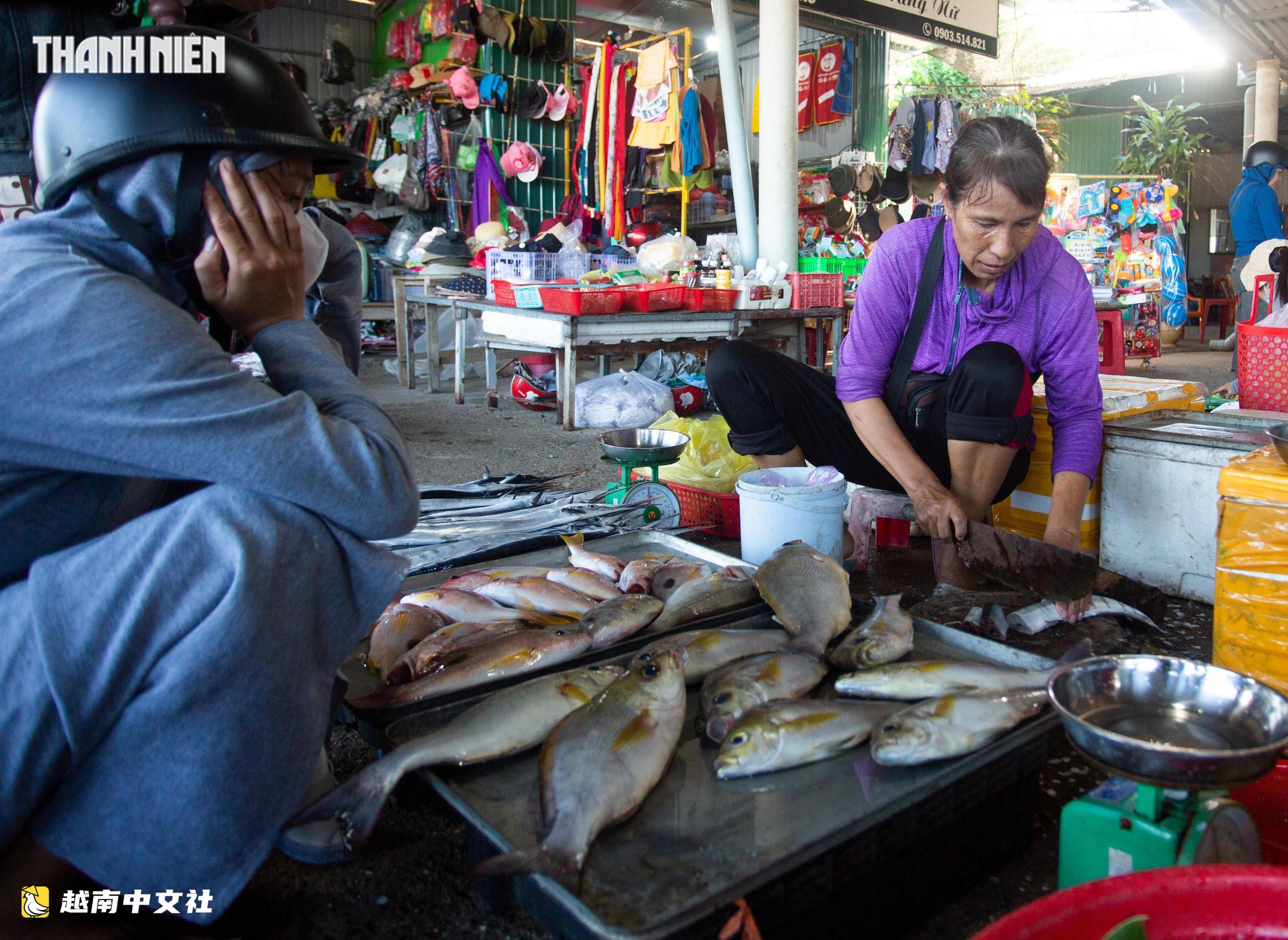 越南Cửa Tùng魚市吸引眾多遊客前來購買新鮮海鮮
