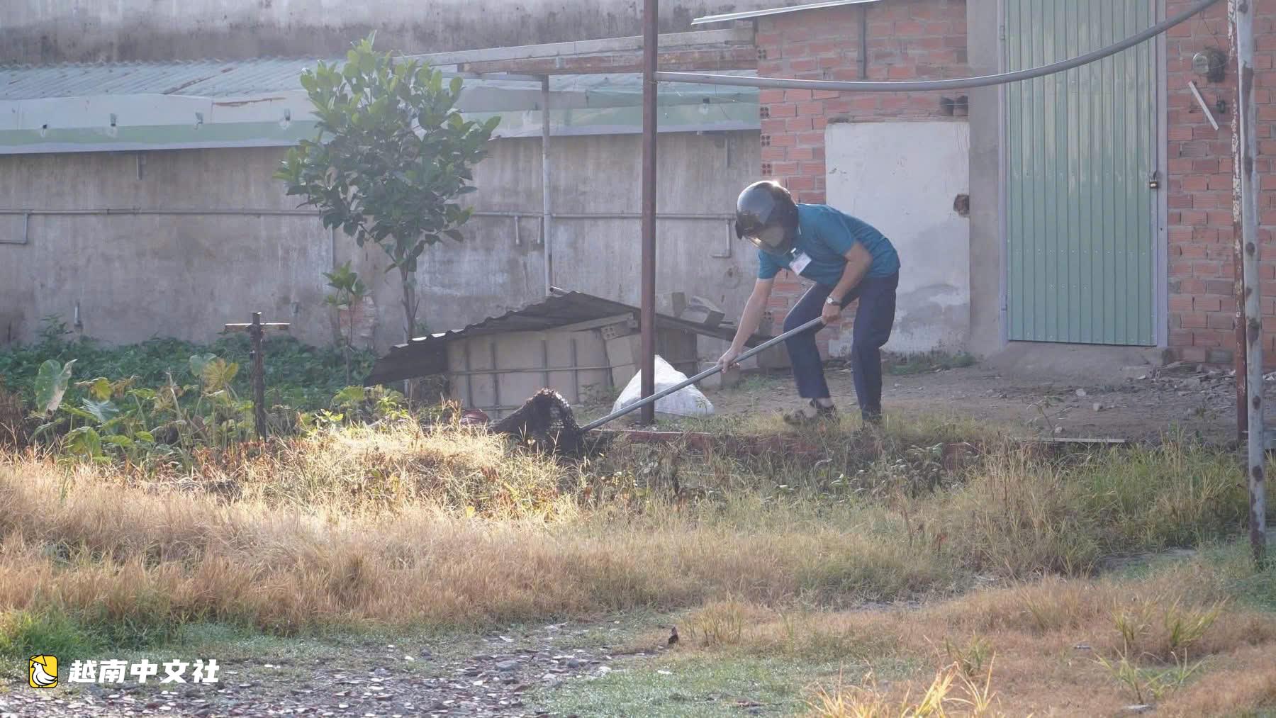 越南胡志明市人口最多的坊出動抓捕流浪狗