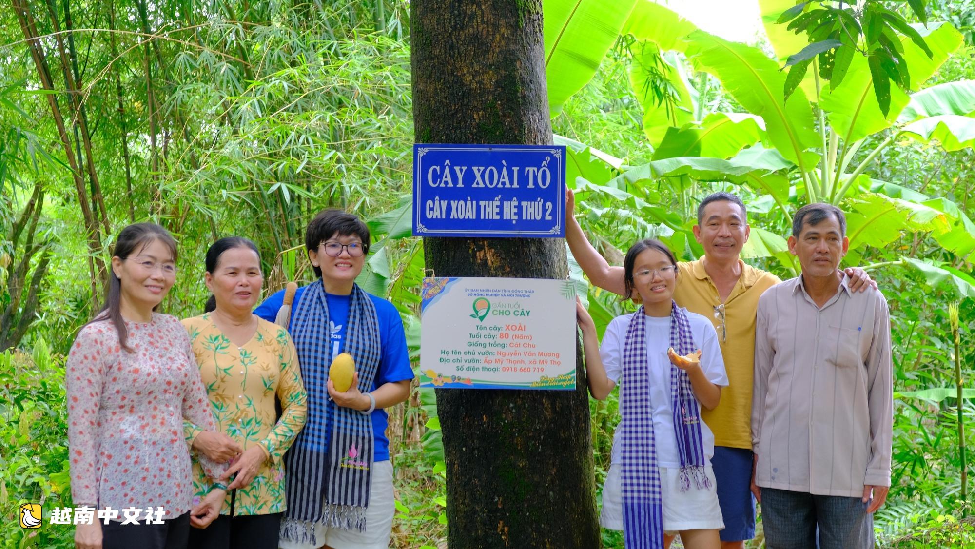 越南高嶺芒果園開發旅遊,收穫更多甜美果實