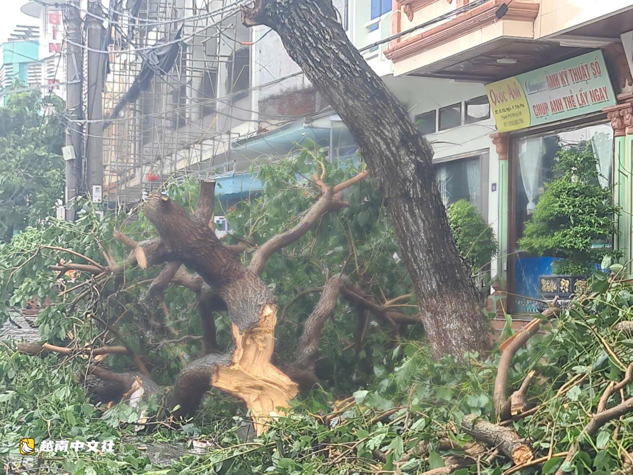 越南芒街市民:'從未見過哪場颱風像1號颱風這樣久久徘徊'