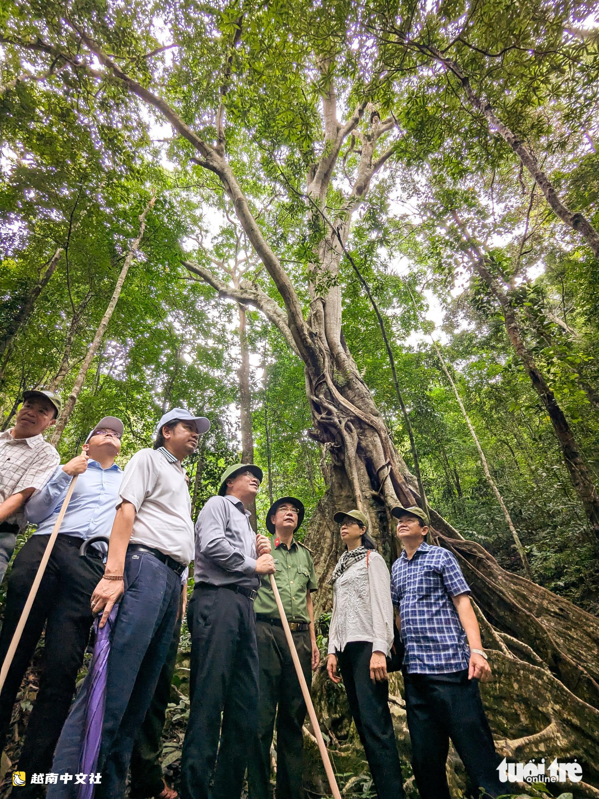 越南嘉萊省開放昆卡京和昆諸讓國家公園旅遊