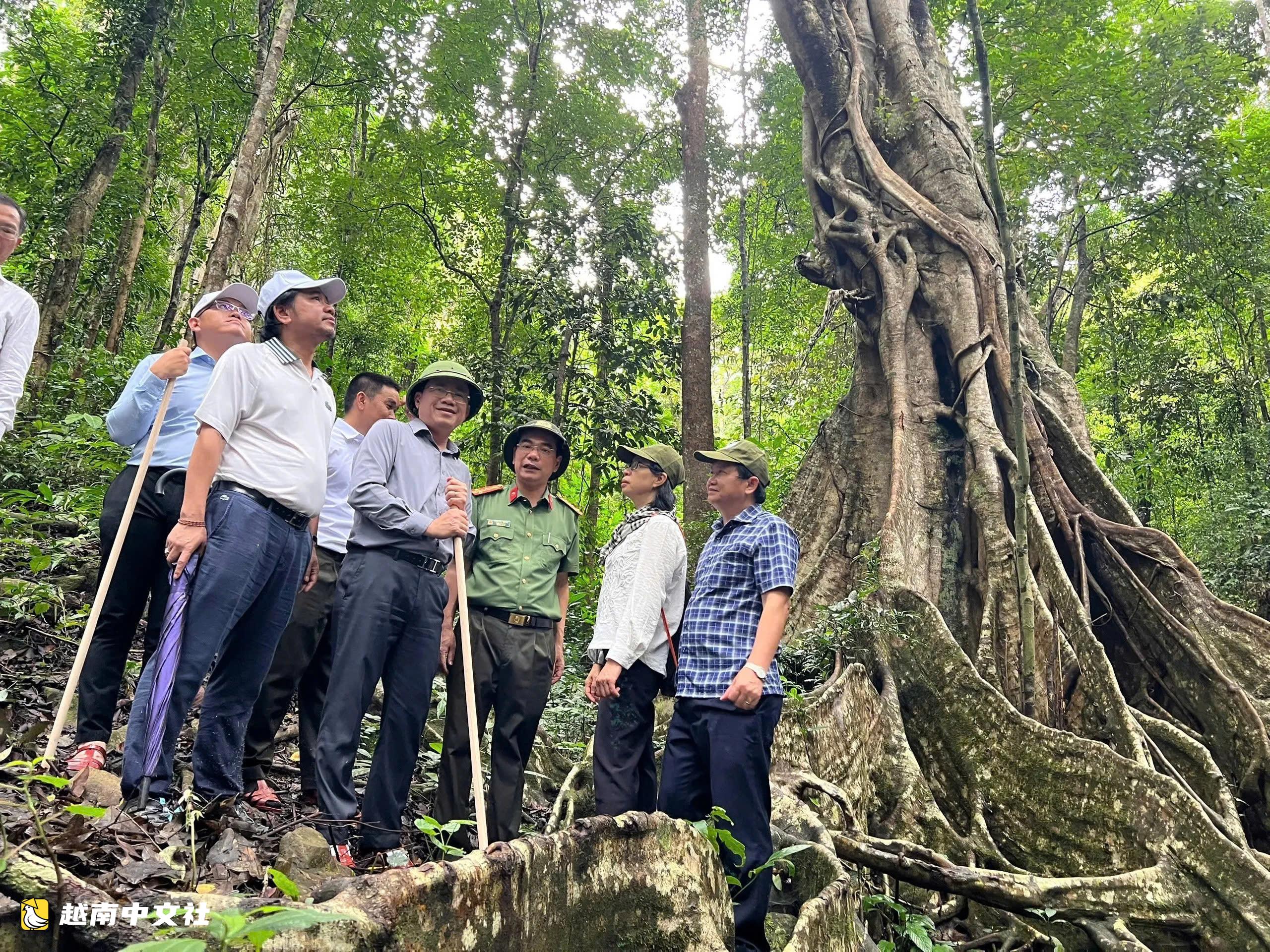 越南嘉萊省將專用林轉化為生態旅遊景點