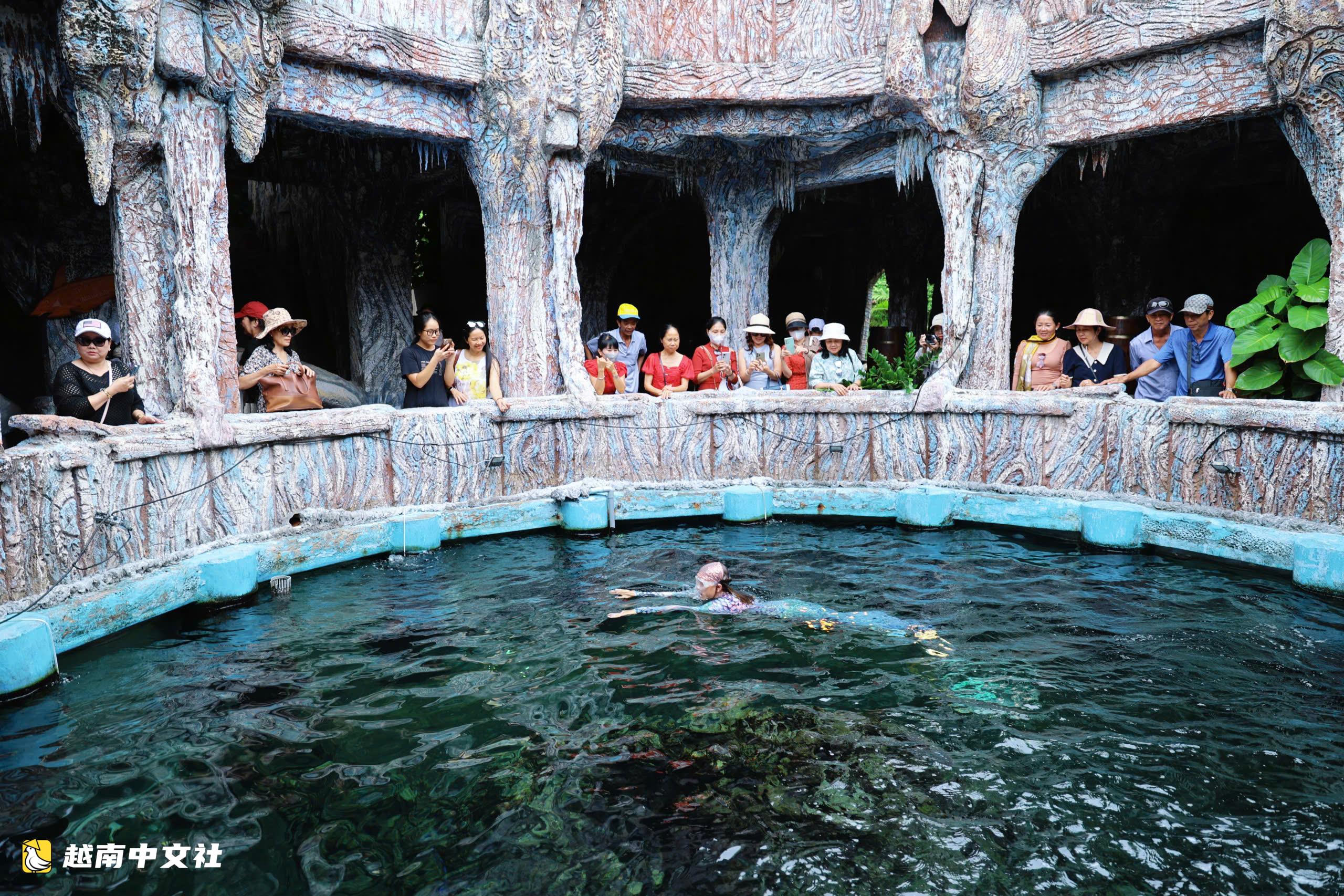 越南芽莊灣“化石”船內的獨特水族館